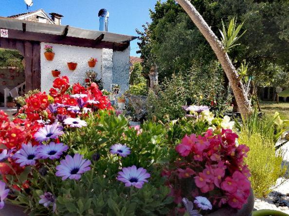 Casa Susa ポイオ エクステリア 写真